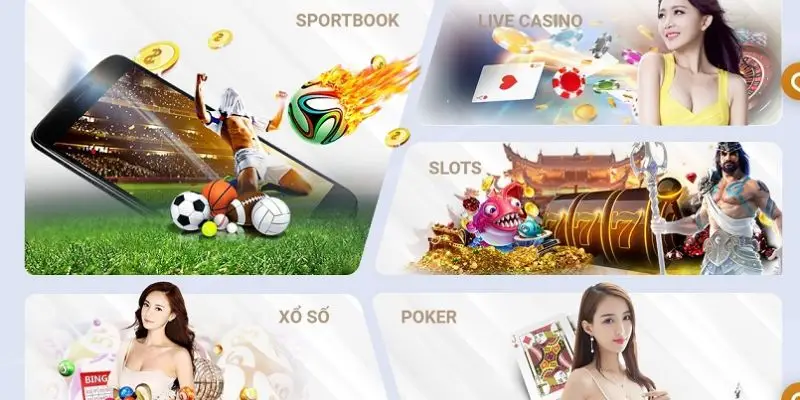 Khám phá bảo hiểm thua cược live casino tại Tobet88 