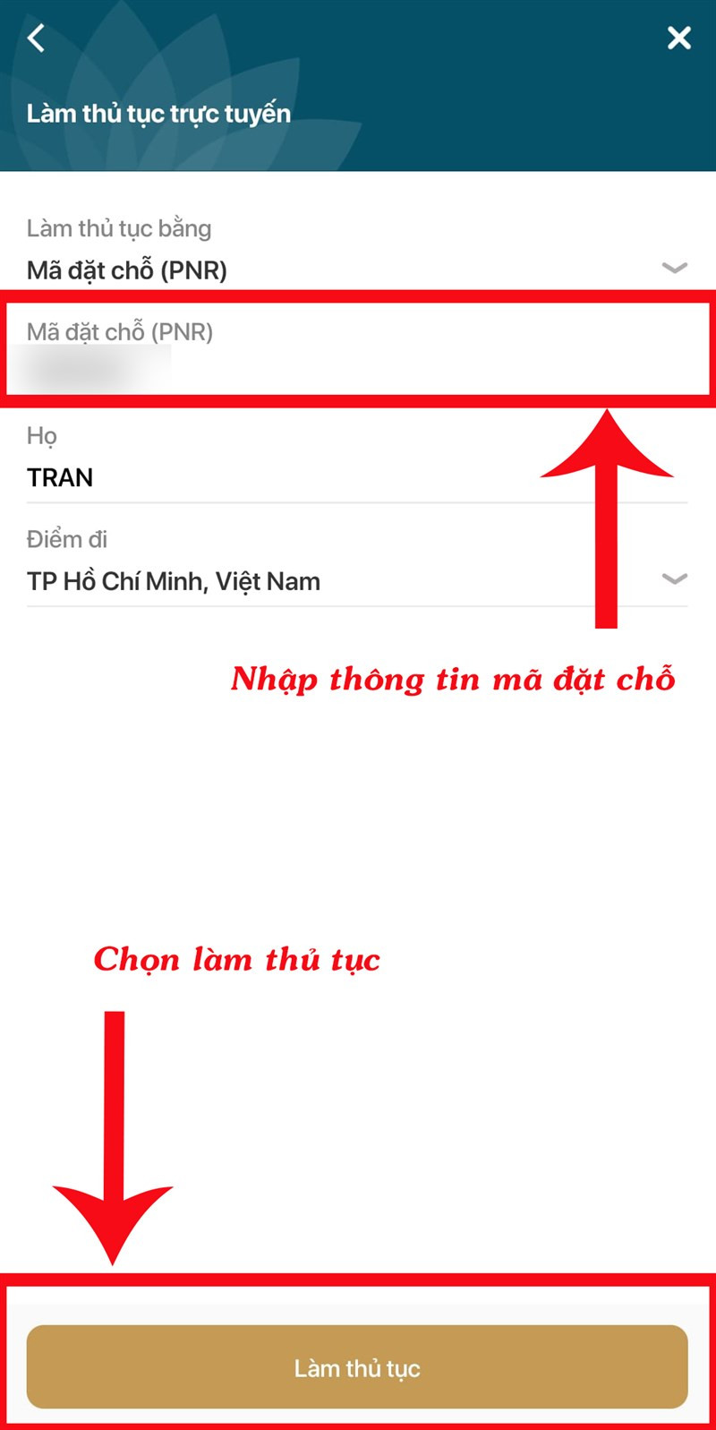 Hướng Dẫn Check-in Online Vietnam Airlines Nhanh Chóng Trên Điện Thoại