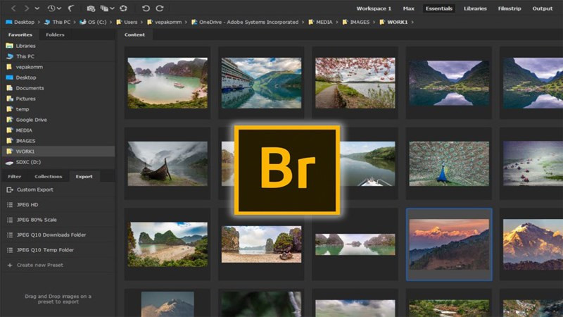 Adobe Bridge: Trợ Thủ Đắc Lực Cho Dân Thiết Kế Đồ Họa