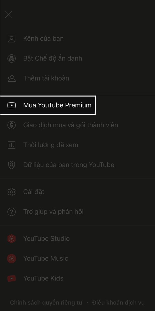 Alt: Giao diện Youtube Premium trên iPhone