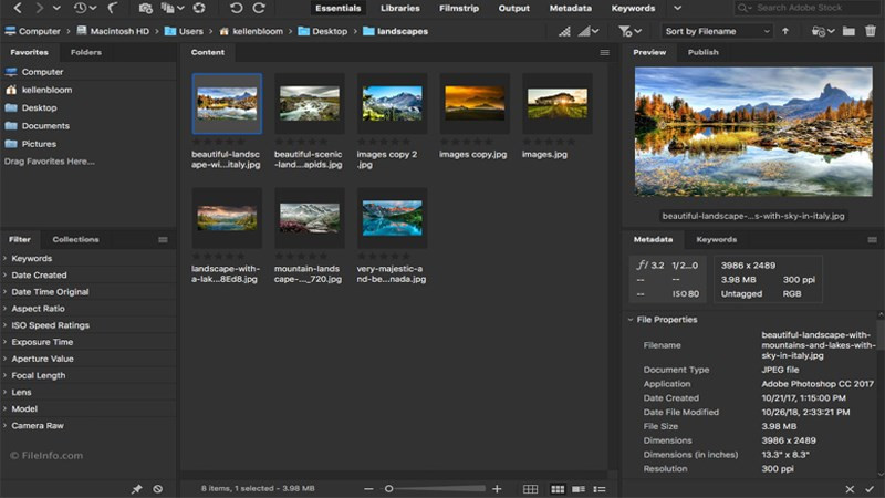 Adobe Bridge: Trợ Thủ Đắc Lực Cho Dân Thiết Kế Đồ Họa