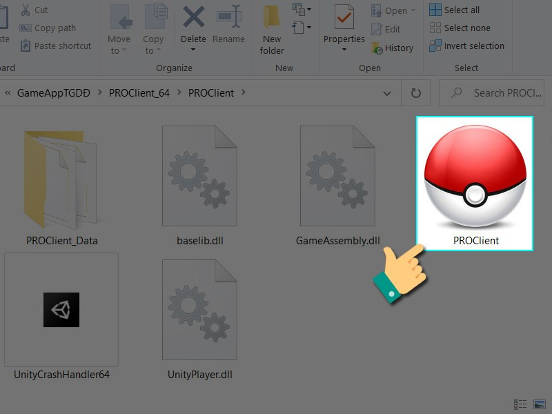 Hướng Dẫn Đăng Ký Và Đăng Nhập Pokemon Revolution Online (PRO) Chi Tiết 2024