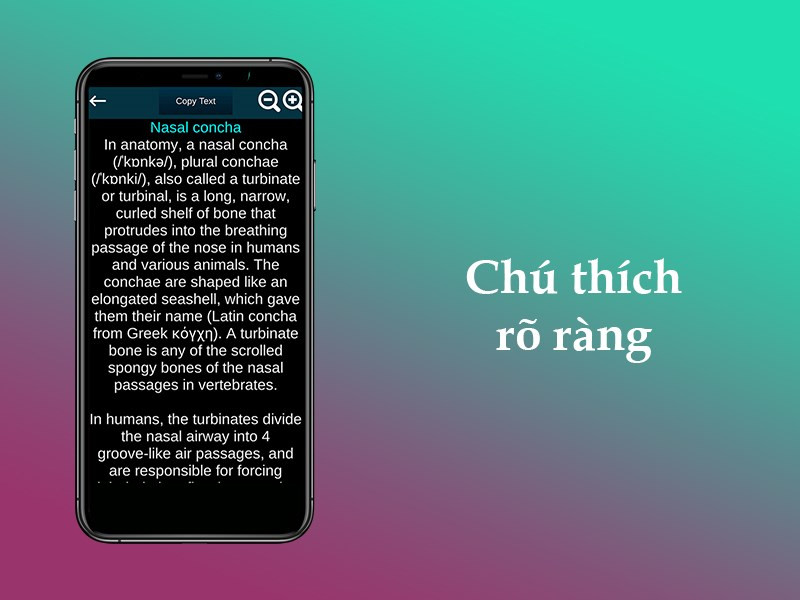  Ch&uacute; th&iacute;ch r&otilde; r&agrave;ng