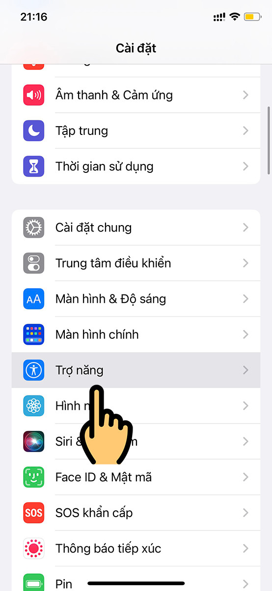 Chọn mục Trợ năng