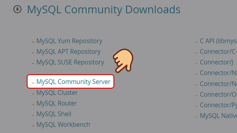 Chọn MySQL Community Server