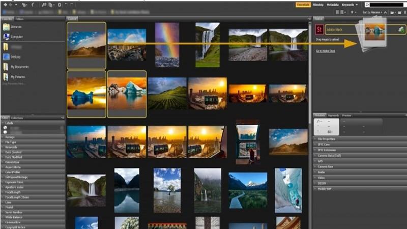 Adobe Bridge: Trợ Thủ Đắc Lực Cho Dân Thiết Kế Đồ Họa