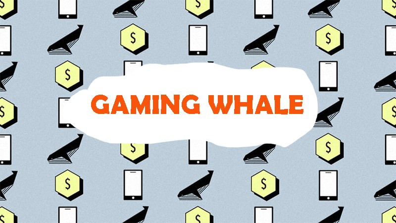 Giải Mã Bí Ẩn Gaming Whale: "Cá Voi" Khổng Lồ Định Hình Làng Game Mobile