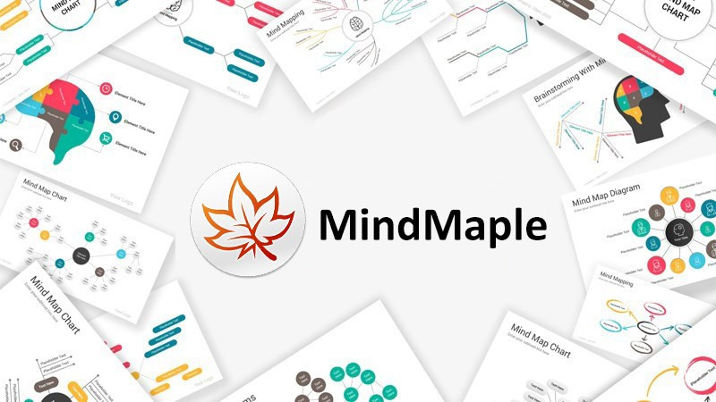 Giao diện MindMaple Lite