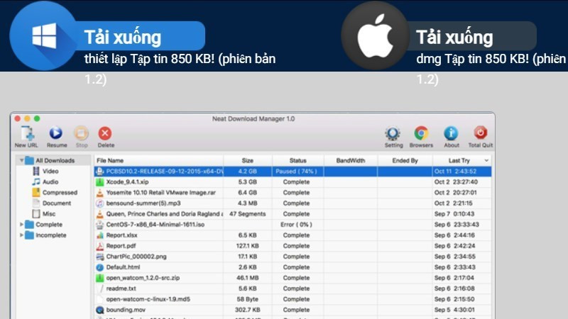 Giao diện Neat Download Manager trên macOS