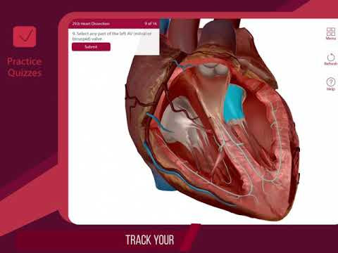 TOP 8 Ứng Dụng Học Giải Phẫu 3D Tuyệt Vời Nhất Trên Điện Thoại