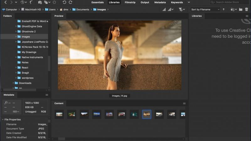 Adobe Bridge: Trợ Thủ Đắc Lực Cho Dân Thiết Kế Đồ Họa