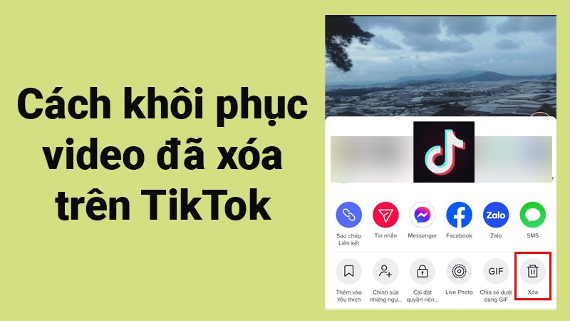 Khôi phục video TikTok đã xóa