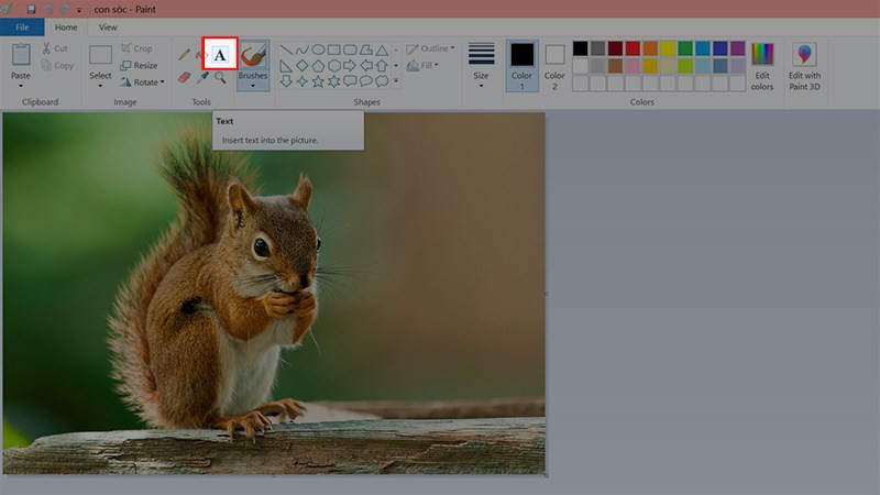 Mở Paint và chọn công cụ Text