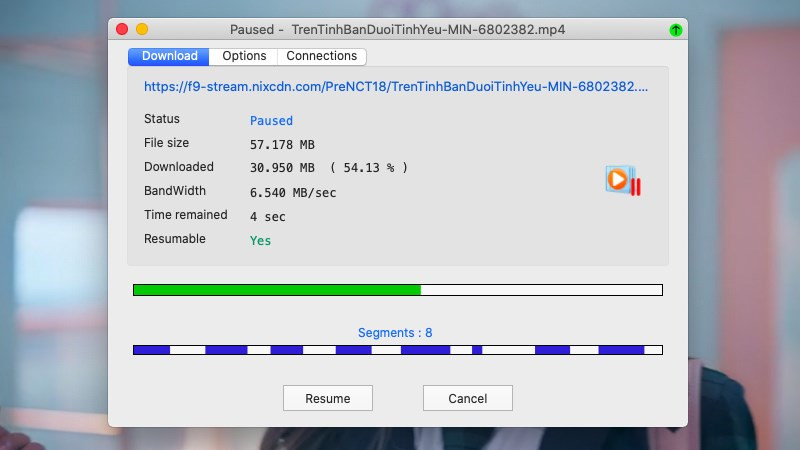 Tải Neat Download Manager Miễn Phí: Trình Tải Xuống File Nhanh Cho Máy Tính