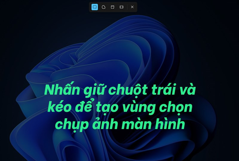 tạo th&agrave;nh v&ugrave;ng chọn