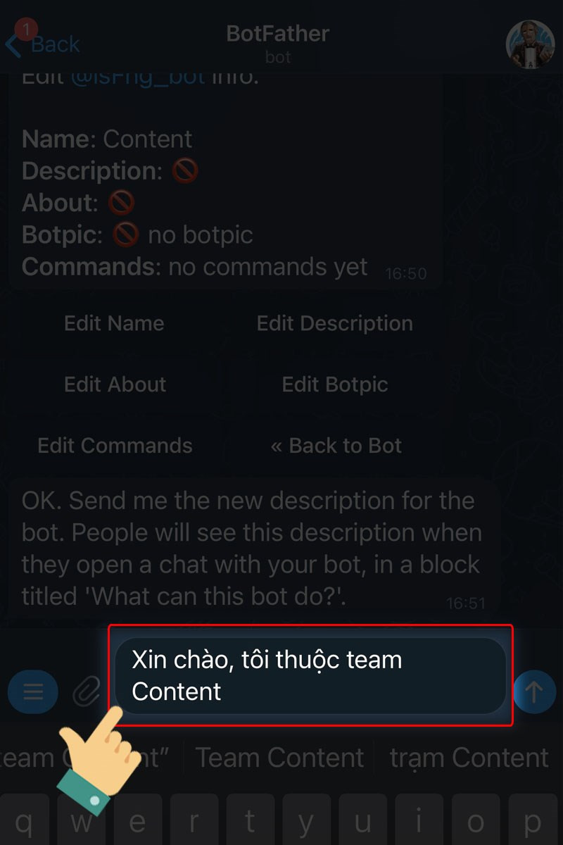 Thêm mô tả cho bot