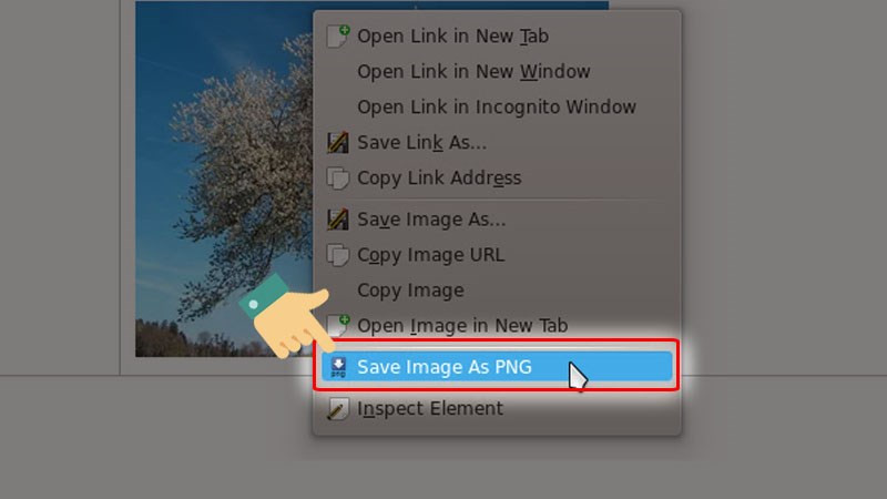 WebP là gì? 4 cách chuyển đổi ảnh WebP sang PNG, JPG đơn giản nhất