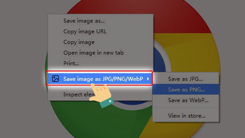 WebP là gì? 4 cách chuyển đổi ảnh WebP sang PNG, JPG đơn giản nhất