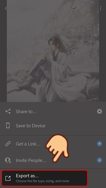 Xuất ảnh Lightroom điện thoại bước 2
