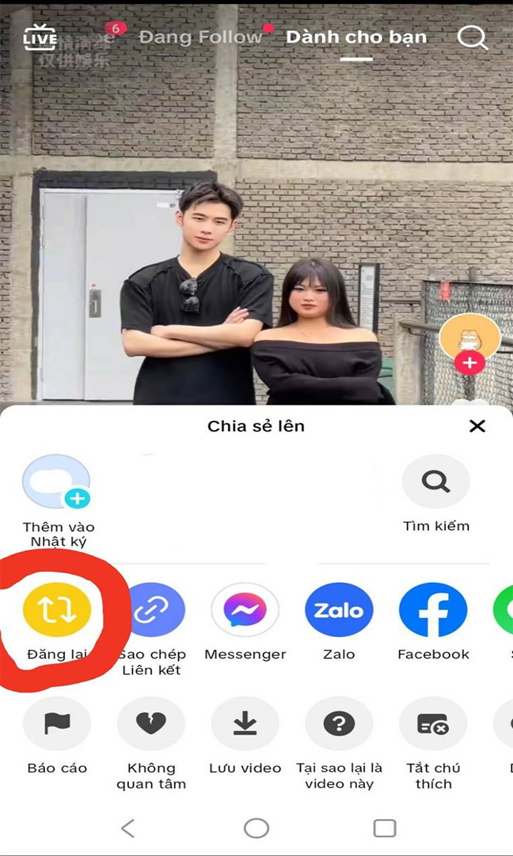 Hướng Dẫn Chi Tiết Cách Repost Video Trên TikTok Cực Đơn Giản