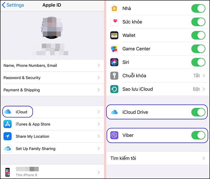 alt text: Cài đặt iCloud Drive cho Viber trên iOS