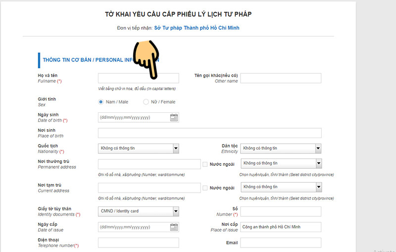 alt text: Điền thông tin vào tờ khai lý lịch tư pháp trực tuyến