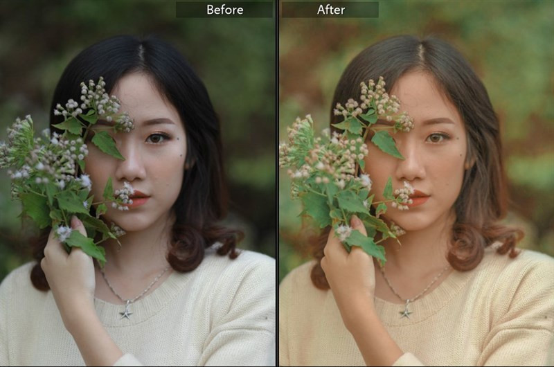 Biến Hình Bức Ảnh Của Bạn Với 40+ Preset Lightroom Màu Nắng Miễn Phí