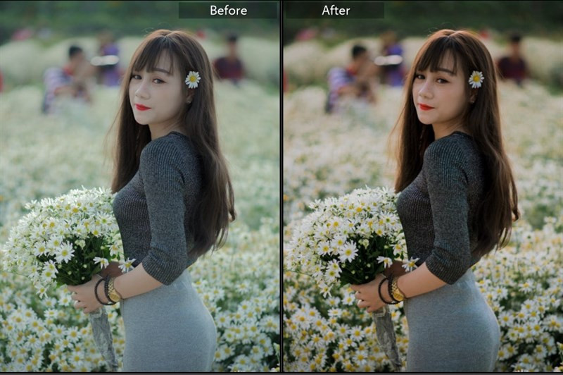 Biến Hình Bức Ảnh Của Bạn Với 40+ Preset Lightroom Màu Nắng Miễn Phí