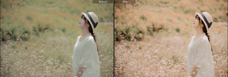 Biến Hình Bức Ảnh Của Bạn Với 40+ Preset Lightroom Màu Nắng Miễn Phí