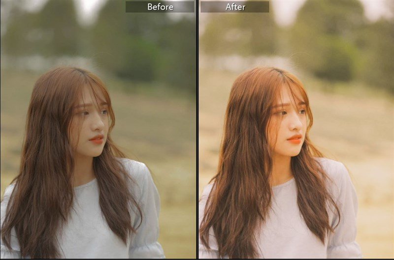 Biến Hình Bức Ảnh Của Bạn Với 40+ Preset Lightroom Màu Nắng Miễn Phí