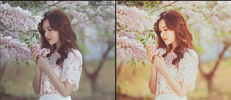 Biến Hình Bức Ảnh Của Bạn Với 40+ Preset Lightroom Màu Nắng Miễn Phí