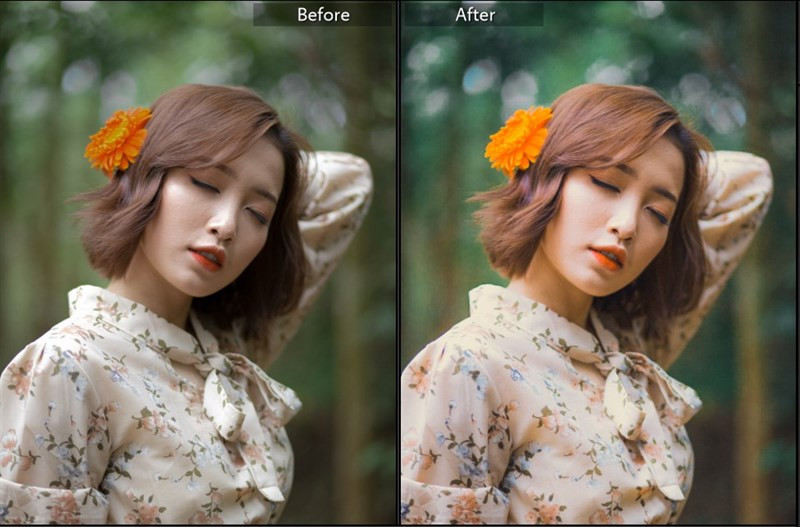 Biến Hình Bức Ảnh Của Bạn Với 40+ Preset Lightroom Màu Nắng Miễn Phí