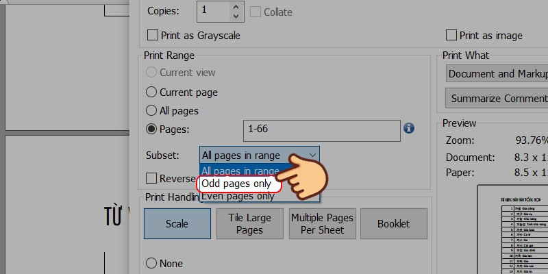 Chọn in trang lẻ trong PDF
