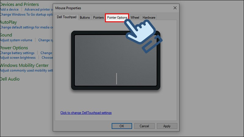 Chọn tab Pointer Options