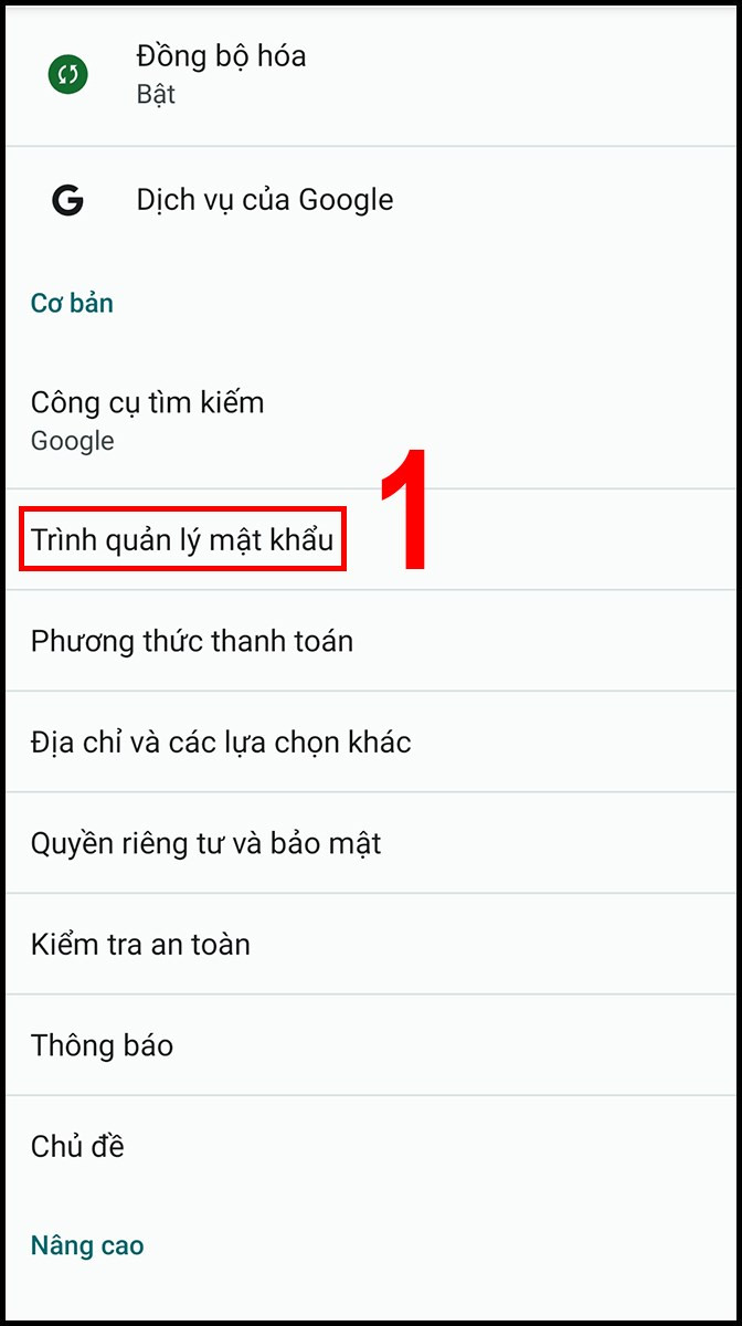 Chọn Trình quản lý mật khẩu