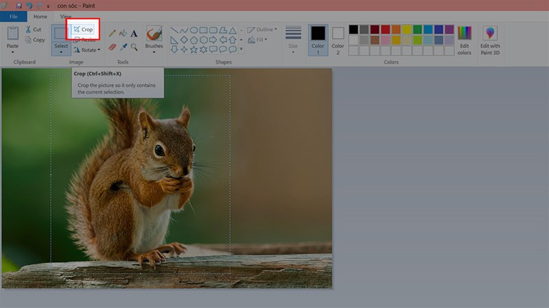 Hướng Dẫn Cắt Ảnh Trong Paint Trên Windows 7, 8, 10 Đơn Giản