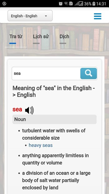 Giao diện ứng dụng Vdict