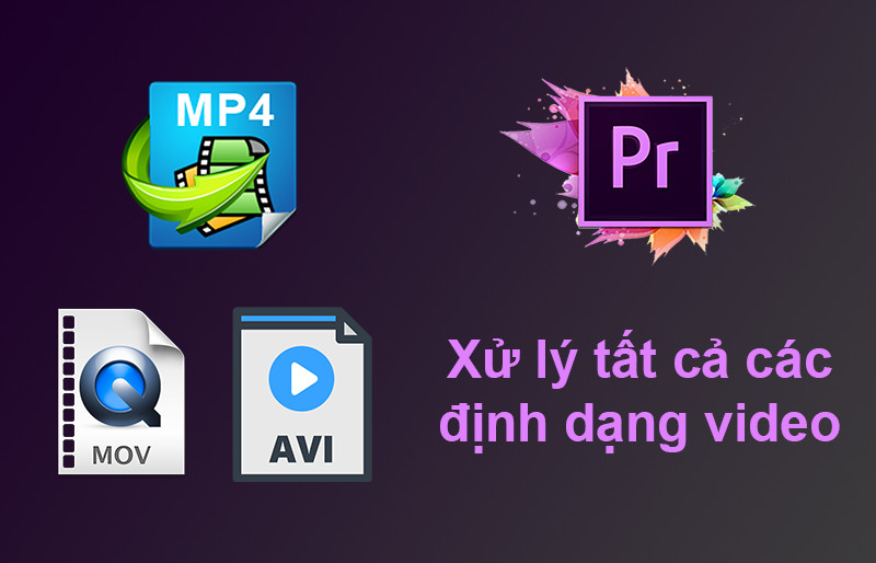 Hỗ trợ đa dạng định dạng video