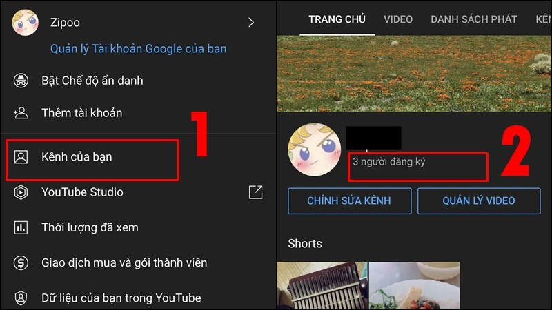 Lượt subscribe hiển thị bên dưới tên kênh