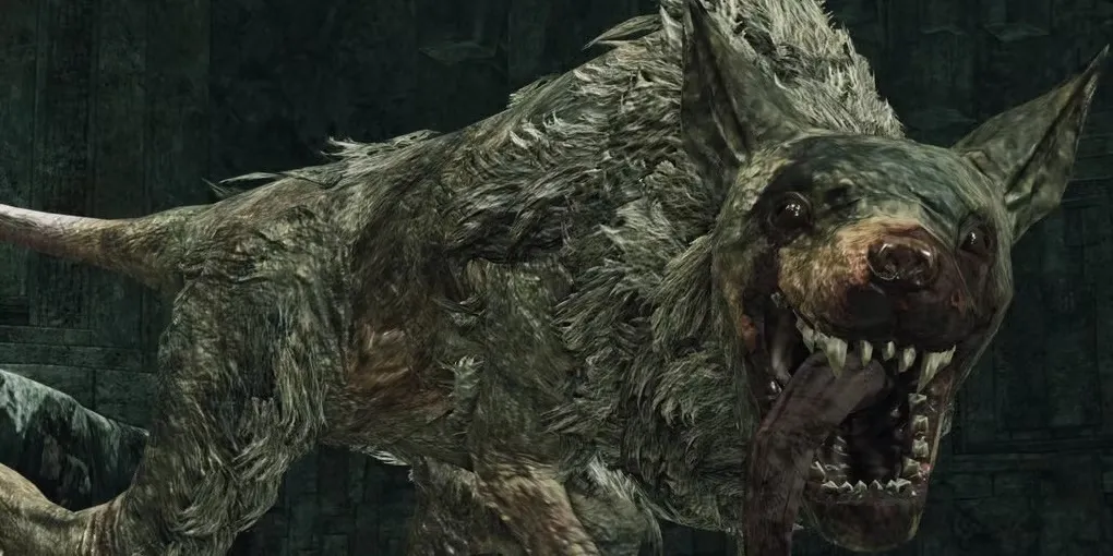 Đại Thử Hoàng Gia, boss khó chịu trong Dark Souls 2 cùng bầy chuột con gây độc