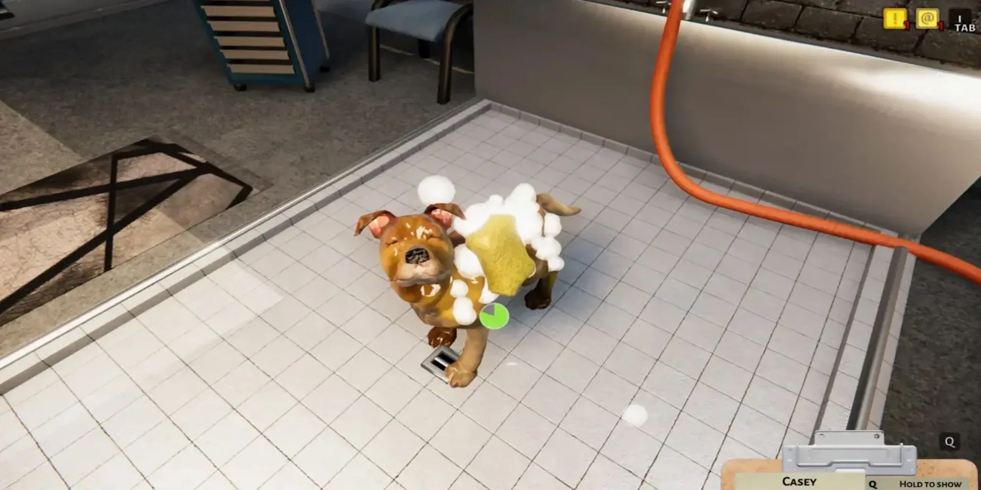 Người chơi chăm sóc một chú chó trong Animal Shelter Simulator, nơi vệ sinh là yếu tố quan trọng