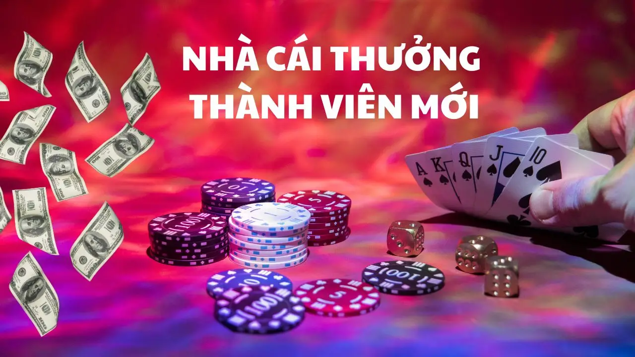 Nhà Cái YSB66 – Điểm Đến Lý Tưởng Cho Các Dân Chơi Cá Cược