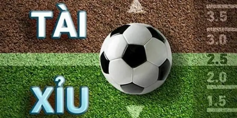 Thể thao Xoso333 – Điểm đến lý tưởng cho tín đồ cá cược