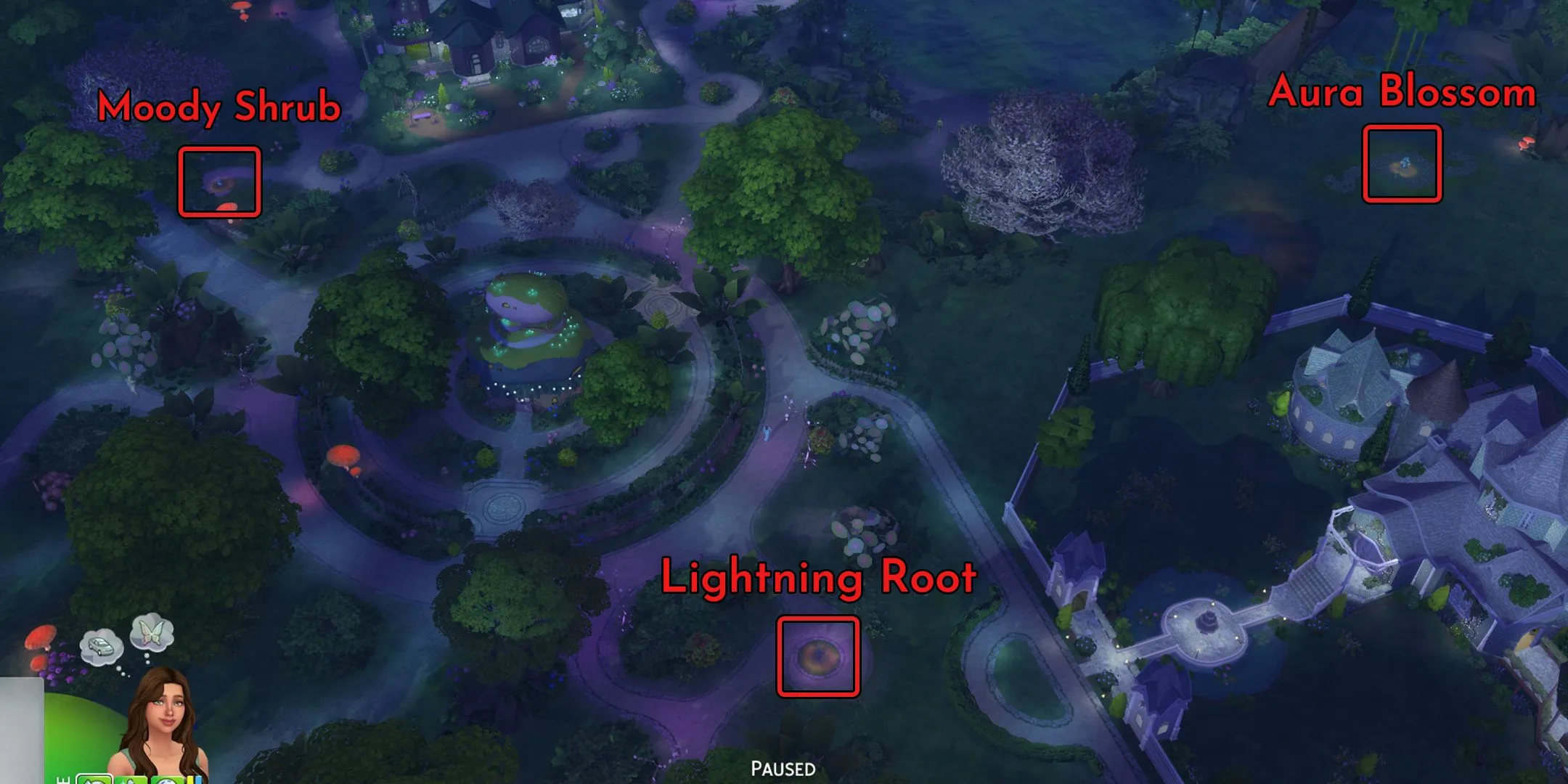 Cây Aura Blossom đang phát sáng rực rỡ trong khu vực Everdew của The Sims 4, gần hồ phép thuật nơi tiên nữ xuất hiện