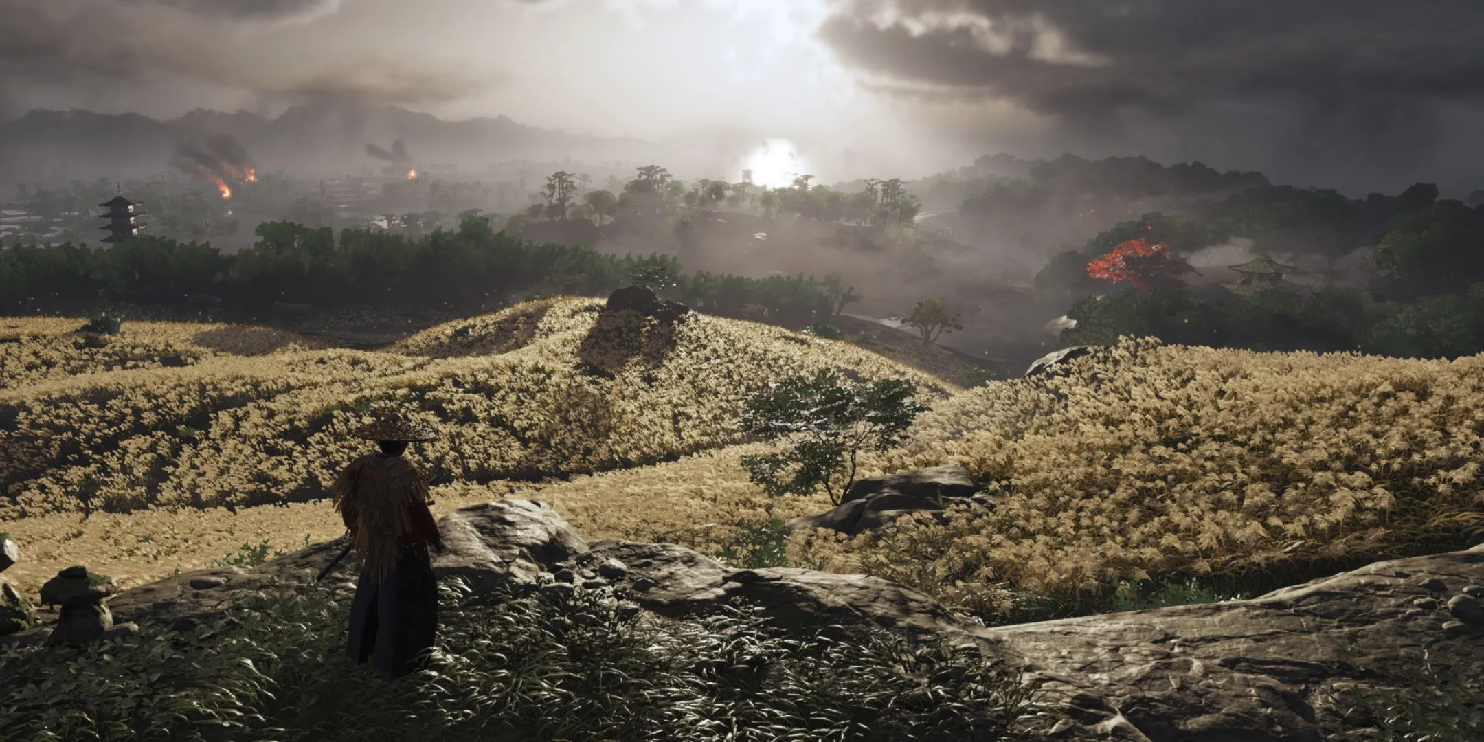 Hiệp sĩ Jin Sakai ngắm bình minh trên cánh đồng rộng lớn ở Ghost of Tsushima
