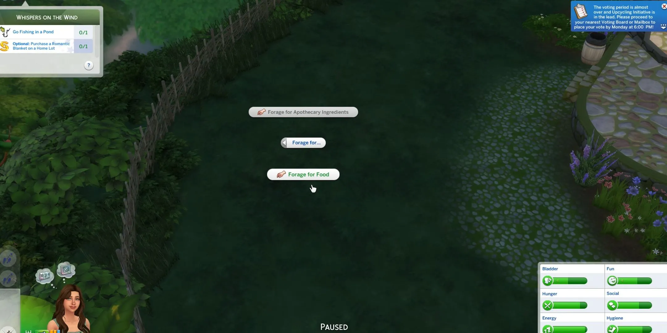 Sim đang thực hiện hành động &quot;Nhặt nhạnh&quot; (Forage) nguyên liệu trong môi trường tự nhiên của The Sims 4, có thể tìm thấy Cánh Hoa Aura